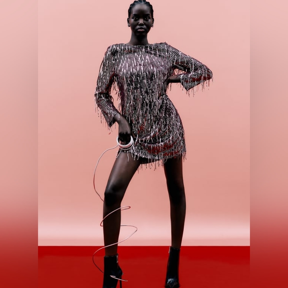 Zara Fringed Sequin Dress